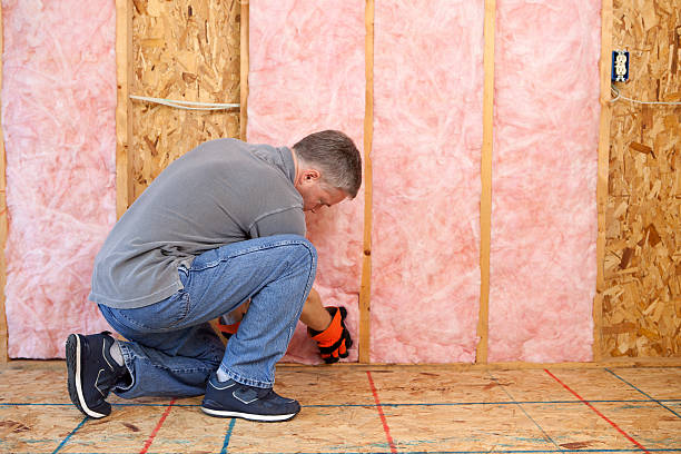Best Insulation Maintenance and Repair in , WV