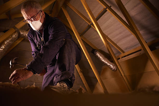 Best Geographic-Specific Insulation Services in , WV